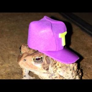 Meet your Posher, Jordan